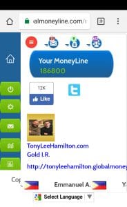 MoneyLine Dashboard Tony Lee Hamilton