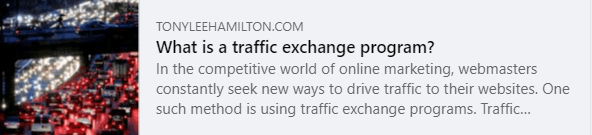 What is a Traffic Exchange Program