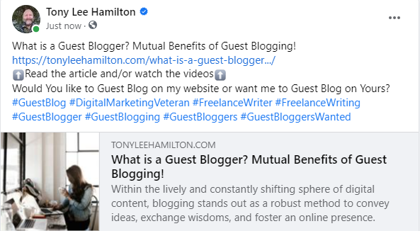 Guest Blogger Blogging Blog Freelance Writer