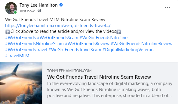 We Got Friends Nitroline Scam Travel MLM Nitroline Review