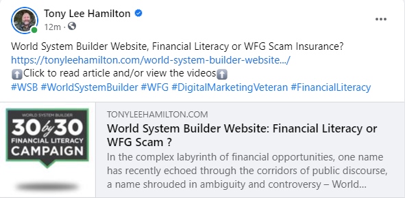 World System Builder Website Financial Literacy or WFG Scam Insurance World Financial Group WSB